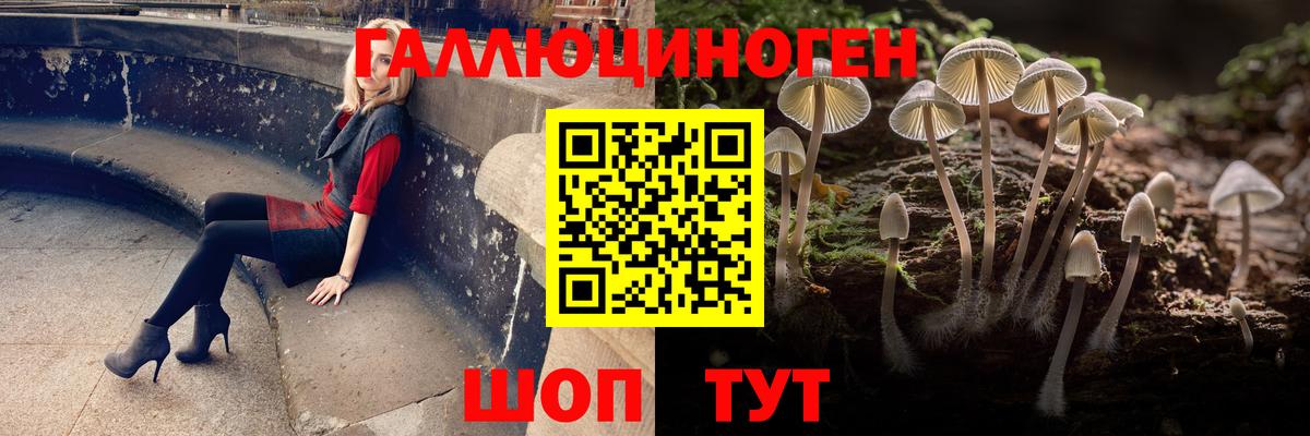 Красный Сулин  Псилоцибиновые грибы ЛСД  наркотики  Вход с VPN 